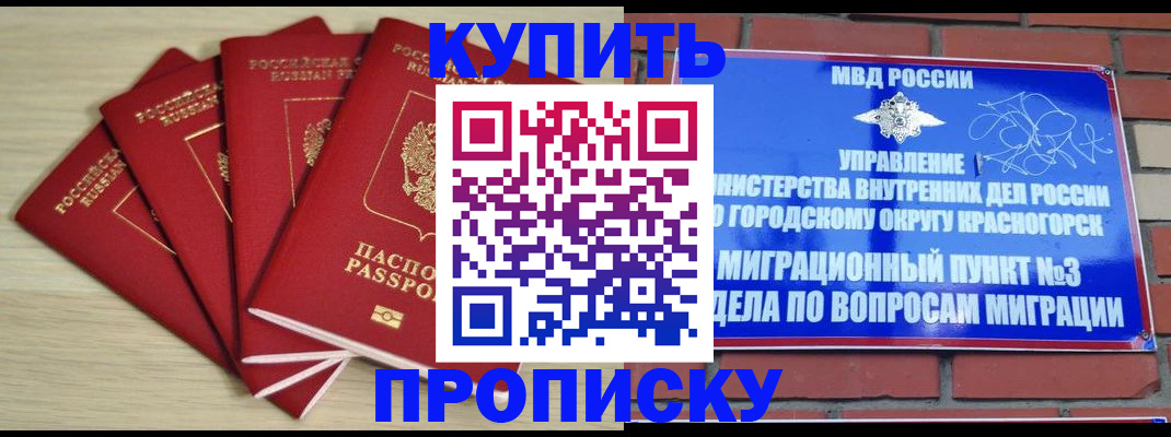 временная регистрация для всех в Барыше